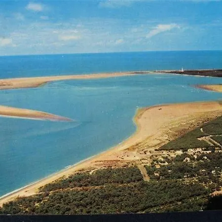 Kamp alanı Moana